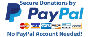 Donate to Habonim Dror - a 501(c)(3) non-profit